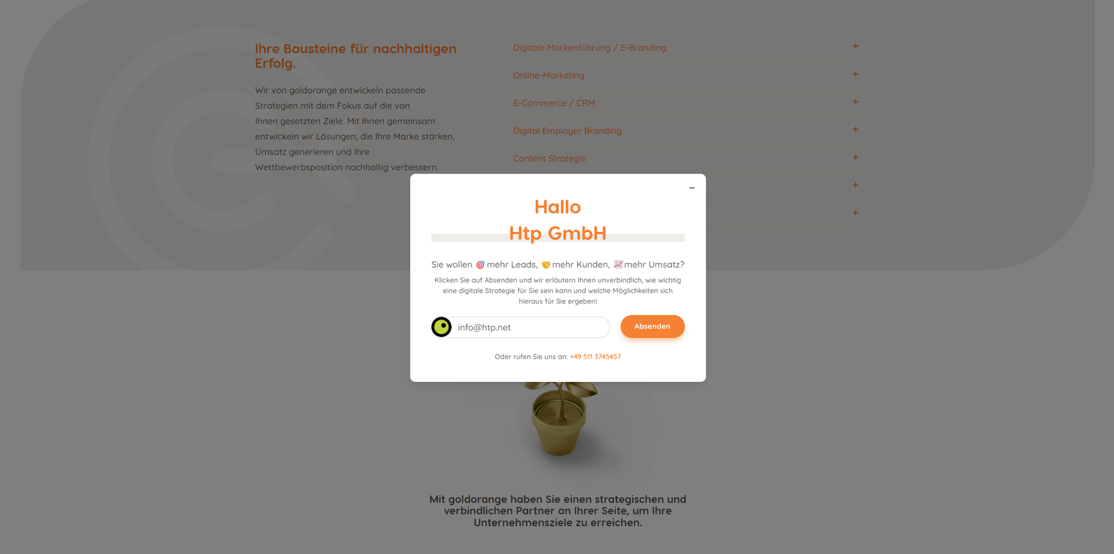 Möglichkeiten zur Einbettung bzw. Darstellung von Leadinfo-Daten als Modal auf der Website