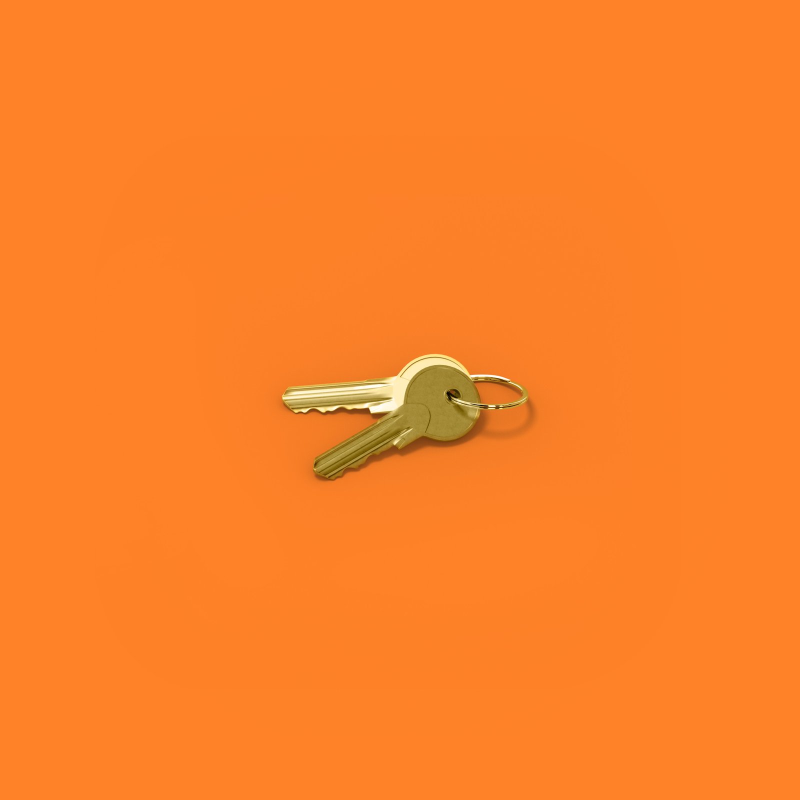 Daten & KI – Suche, Wissensmanagement, PIM & Automatisierung | goldorange